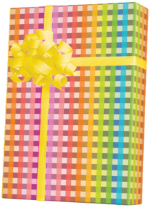 E7024-Rainbow-Gingham.png