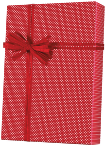 X3100-Red-Swiss.png
